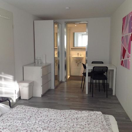 Stadtmitte Ferienwohnung Waldshut Extérieur photo